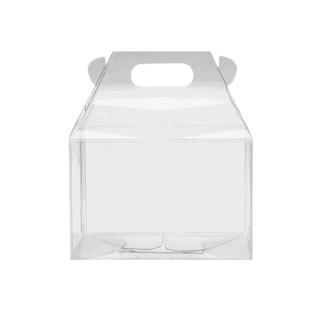 LONCHERA TRANSPARENTE (DIF MEDIDAS)