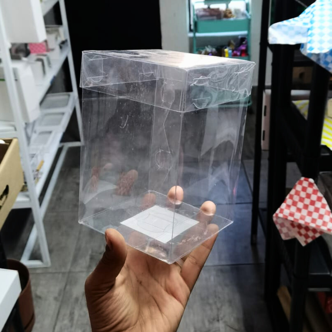 CAJA TRANSPARENTE CON TAPA (10x10x15)