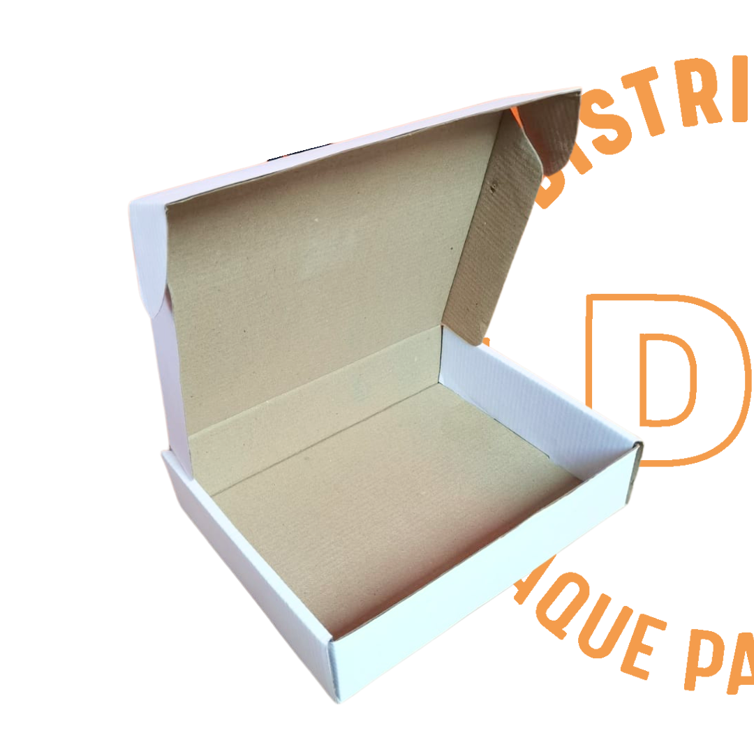 Caja de Cartón 24x20x6 cms