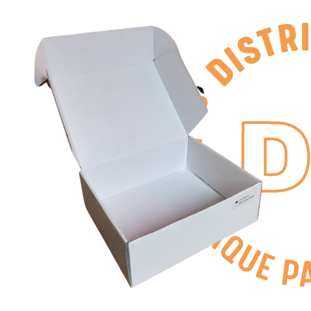 Caja de Cartón 30x24x10 BLANCA AMBOS LADOS