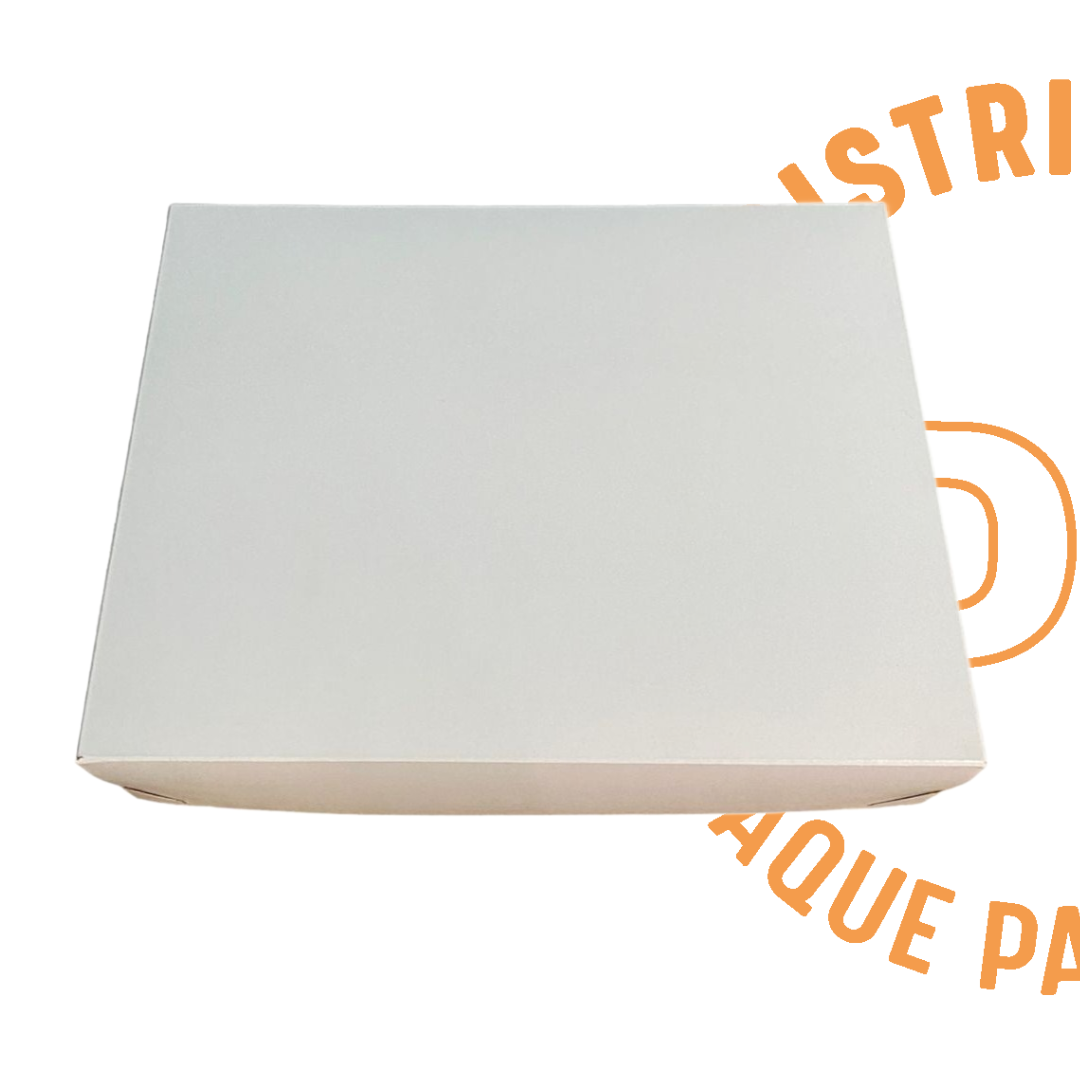 CAJA REGALO 30x23x7 CMS