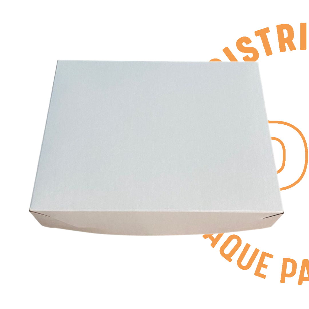 CAJA REGALO 25x19x6 CMS