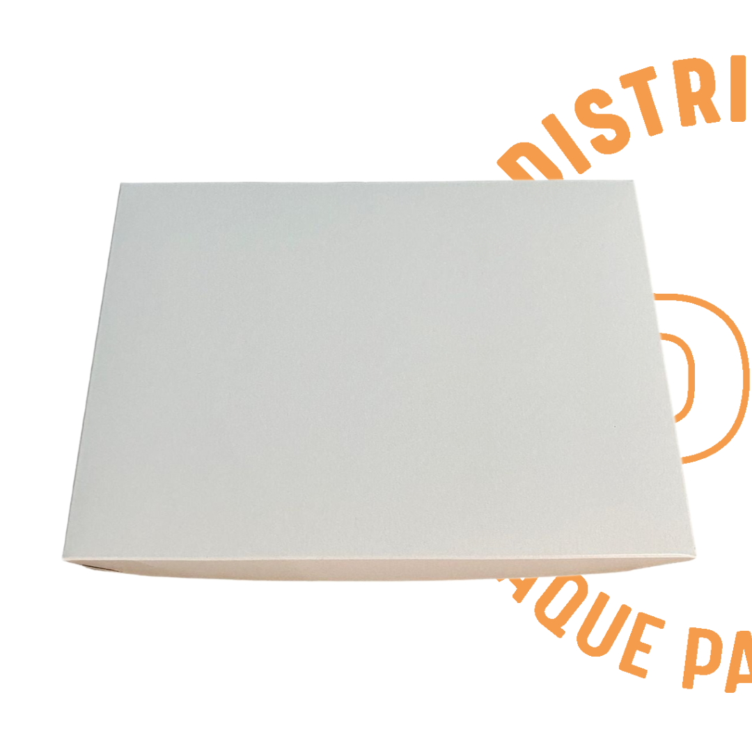 CAJA REGALO 35x25x5 CMS