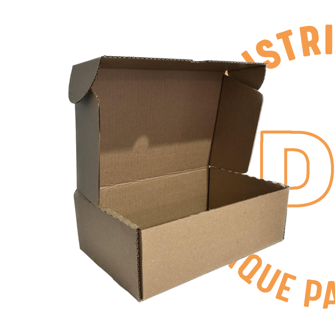 Caja de Cartón 30x20x10 cms