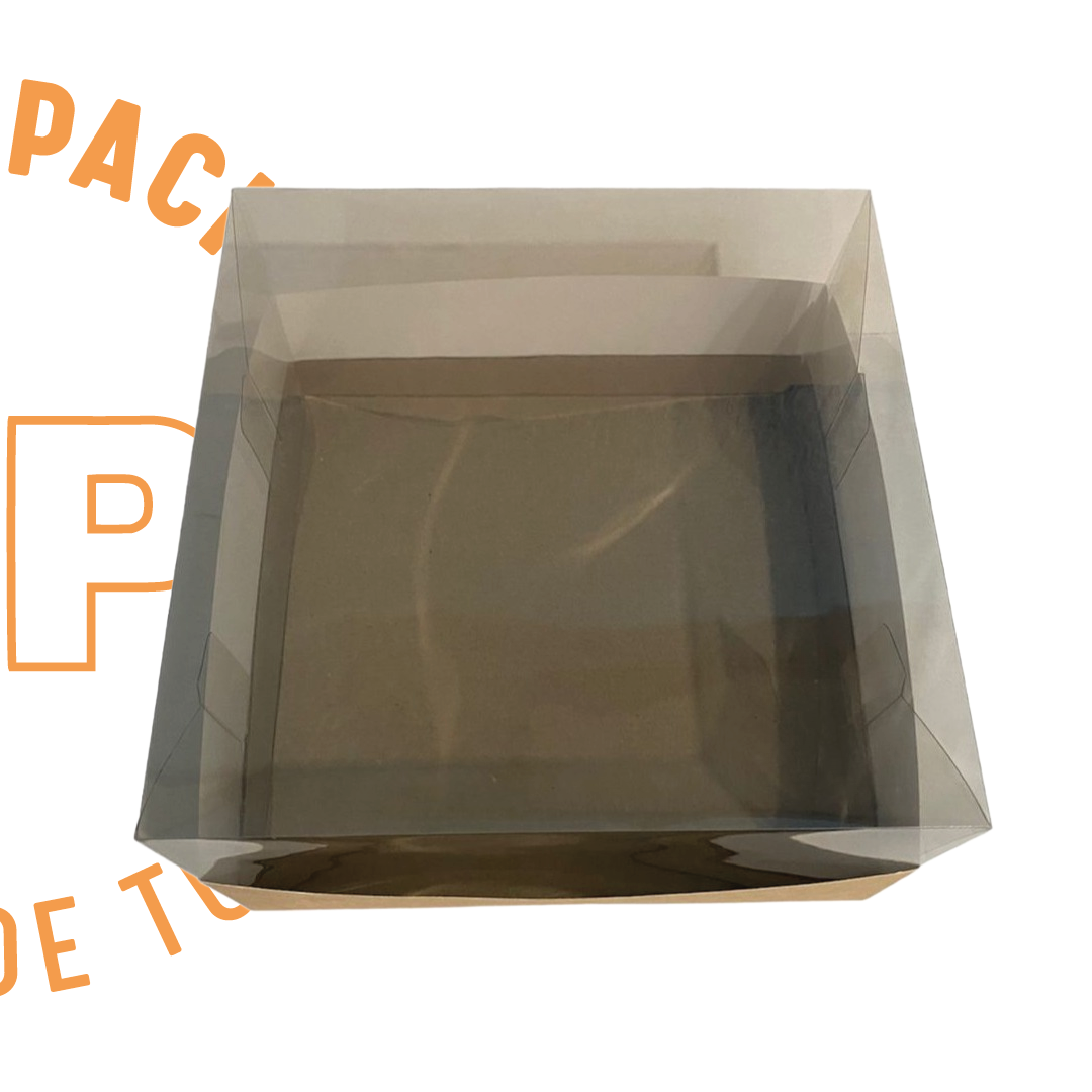 CAJA TAPA TRANSPARENTE 26X26X15 CMS