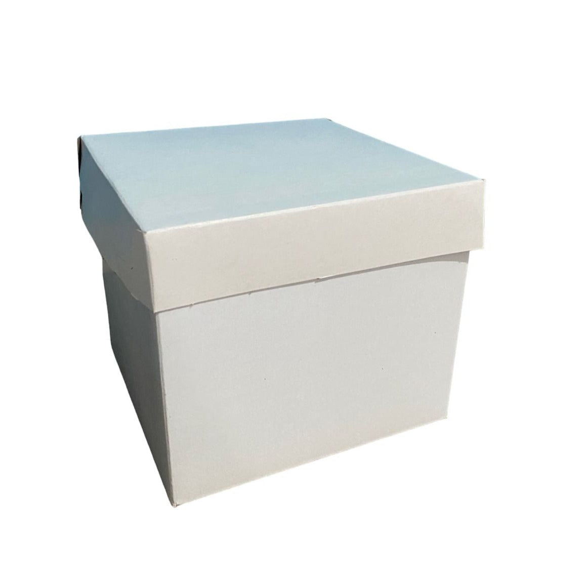 CUBO CAPLE CON TAPA 14X14X12 CMS